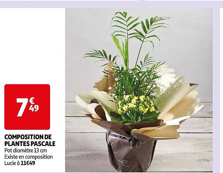 composition de plantes pascale