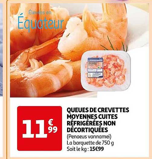 queues de crevettes moyennes cuites réfrigérées non décortiquées