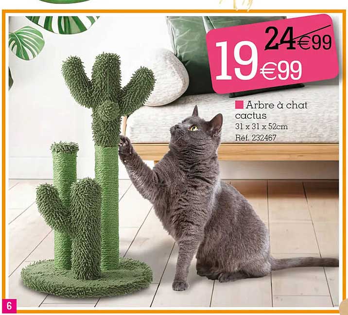 Arbre à Chat Cactus