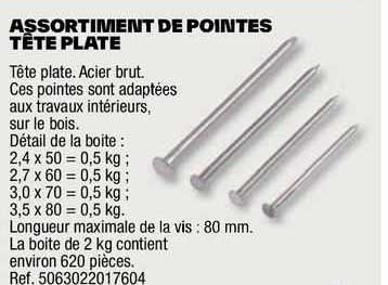 assortiment de pointes tête plate