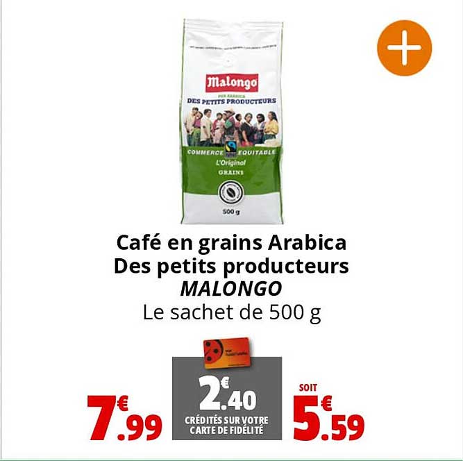 café en grains arabica des petits producteurs malongo