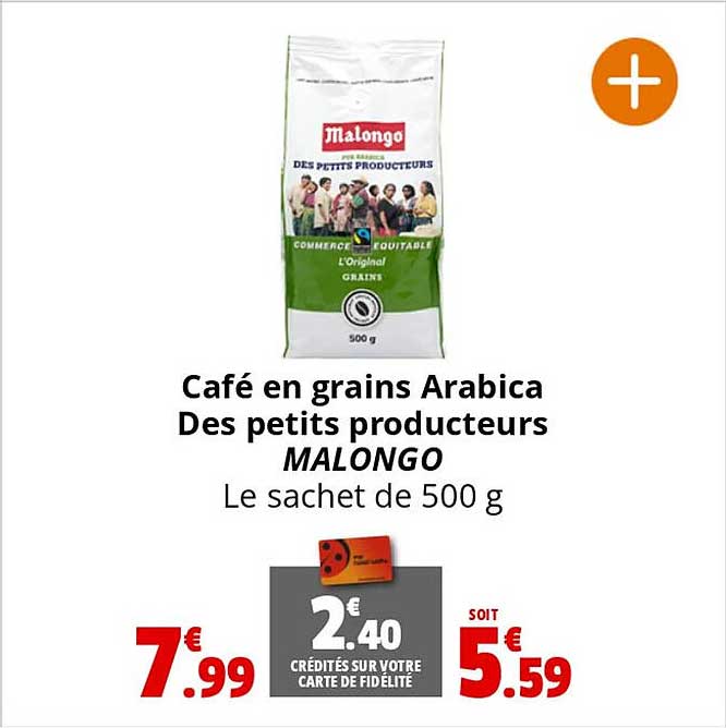 café en grains arabica des petits producteurs malongo