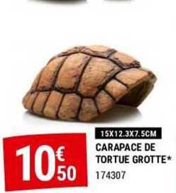 carapace de tortue grotte