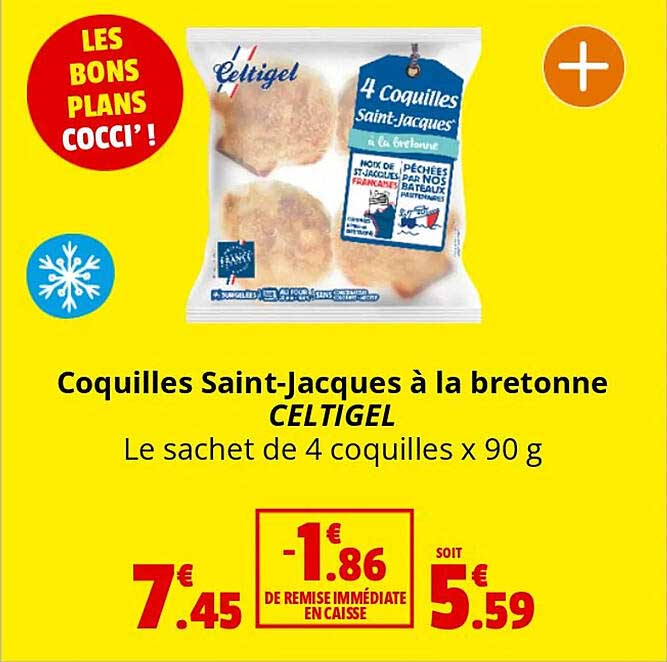 coquilles saint-jacques à la bretonne celtigel