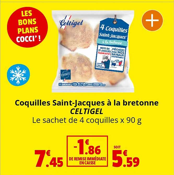 coquilles saint-jacques à la bretonne celtigel