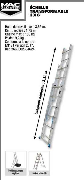 échelle transformable 3 x 6 mac allister