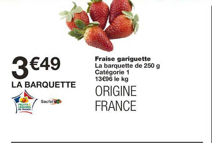 fraise gariguette