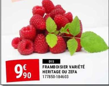 framboisier variété héritage ou zefa