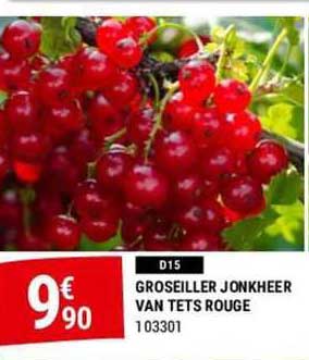 groseiller jonkheer van tets rouge