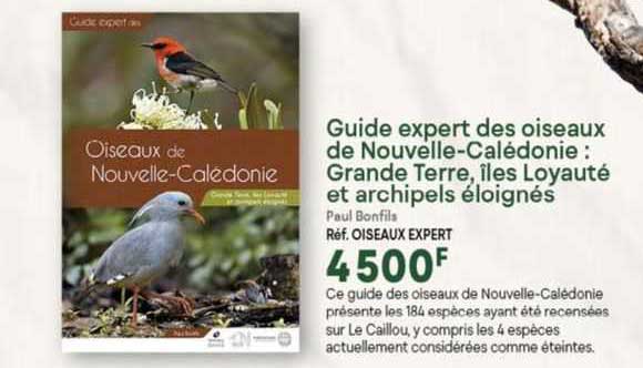 Guide Expert Des Oiseaux De Nouvelle-calédonie : Grande Terre, îles Loyauté Et Archipels éloignés