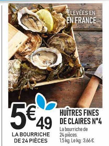 huîtres fines de claires n°4