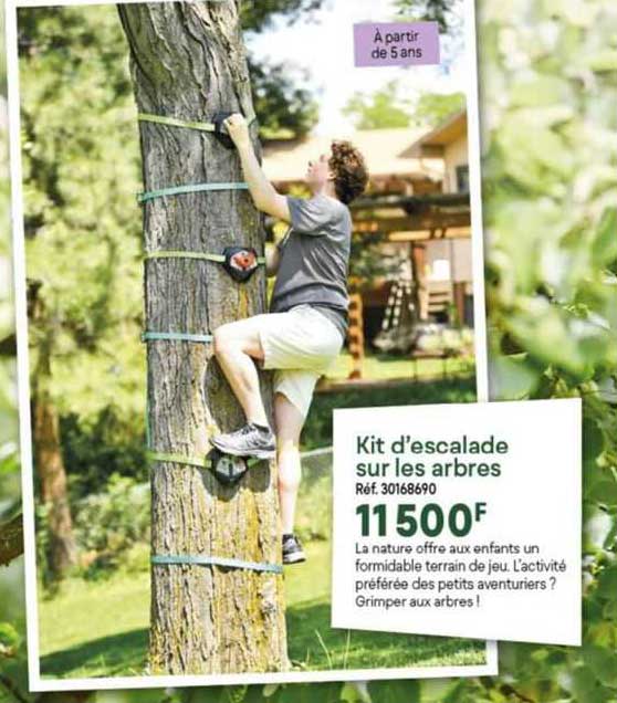 kit d'escalade sur les arbres