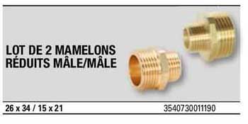 lot de 2 mamelons réduits mâle/mâle