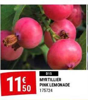 Myrtillier Pink Lemonade