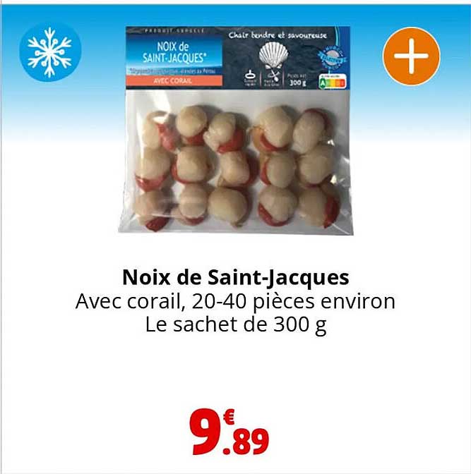 noix de saint-jacques