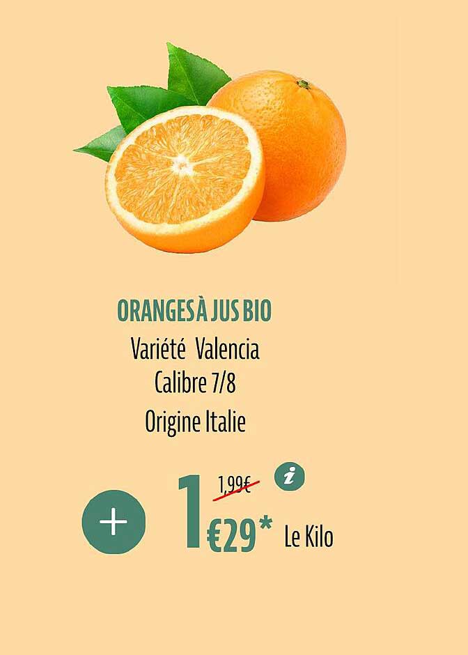 Oranges à Jus Bio