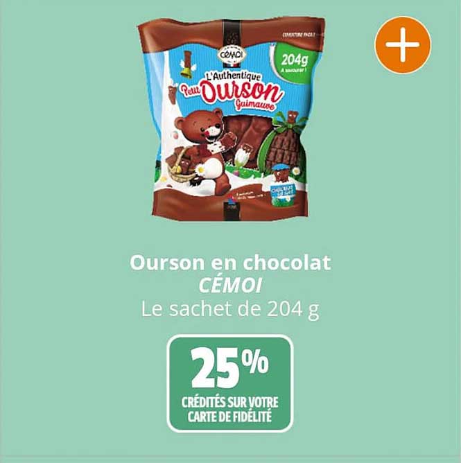 Ourson En Chocolat Cémoi
