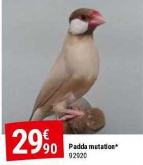padda mutation
