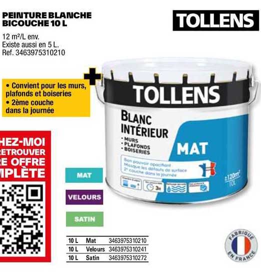 Peinture Blanche Bicouche 10 L Tollens
