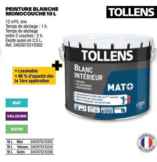 Peinture Blanche Monocouche 10 L Tollens