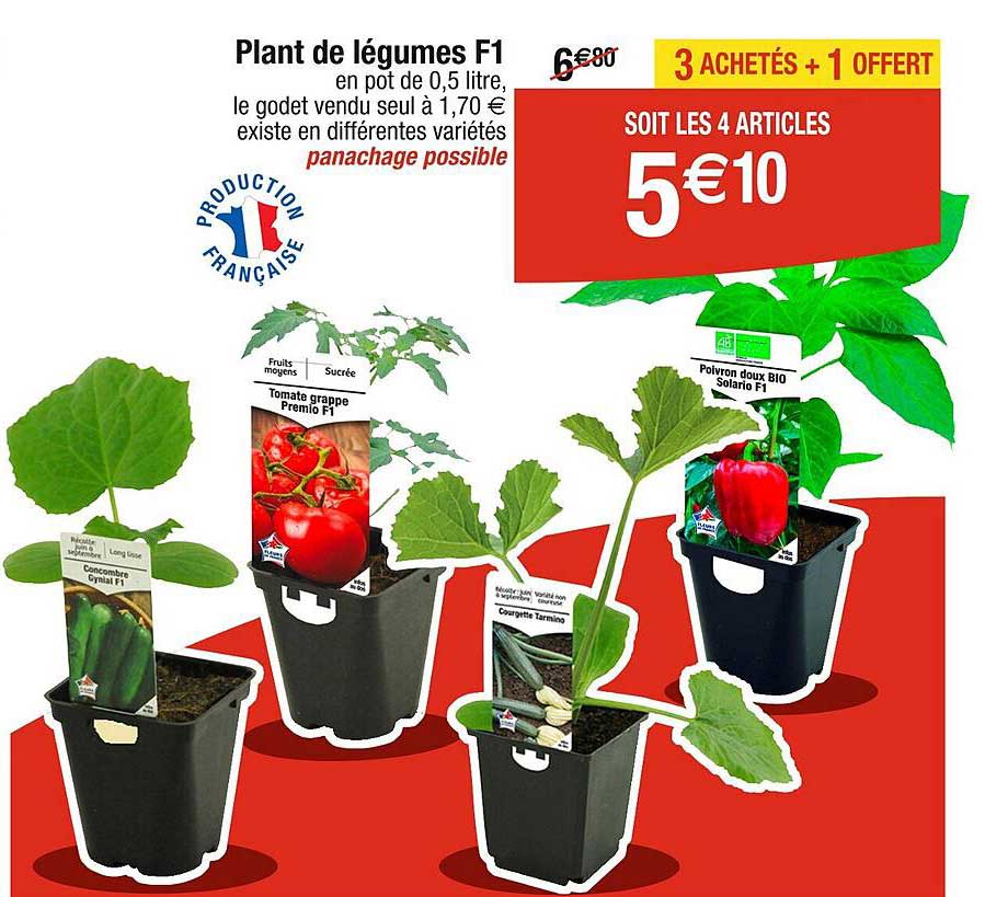 plant de légumes f1
