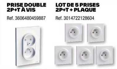 prise double 2p+t à vis, lot de 5 prises 2p+t + plaque