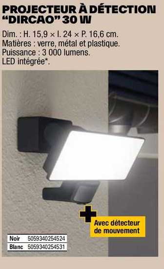 projecteur à détection "dircao" 30 w
