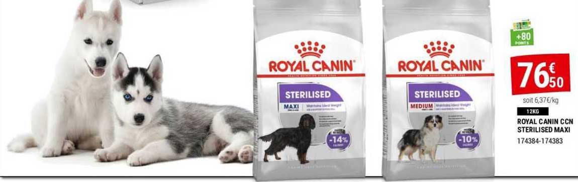 royal canin ccn sterilised maxi