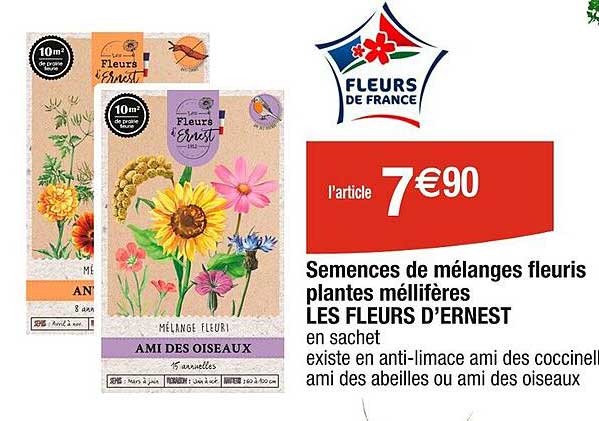 semences de mélanges fleuris planes méllifères les fleurs d'ernest