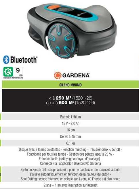 sileno minimo gardena