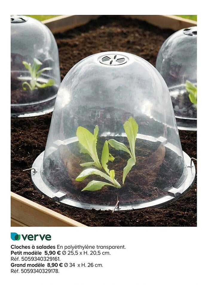 verve cloches à salades
