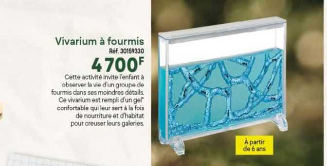 vivarium à fourmis