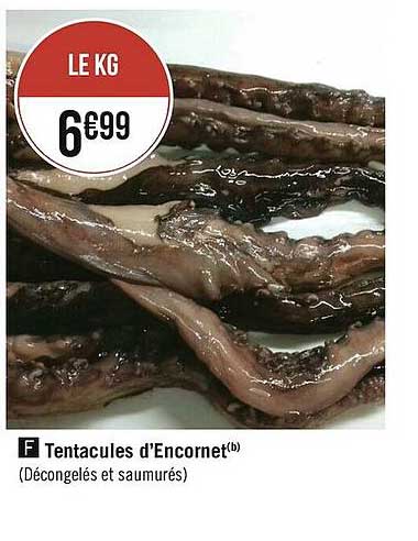 tentacules d'encornet