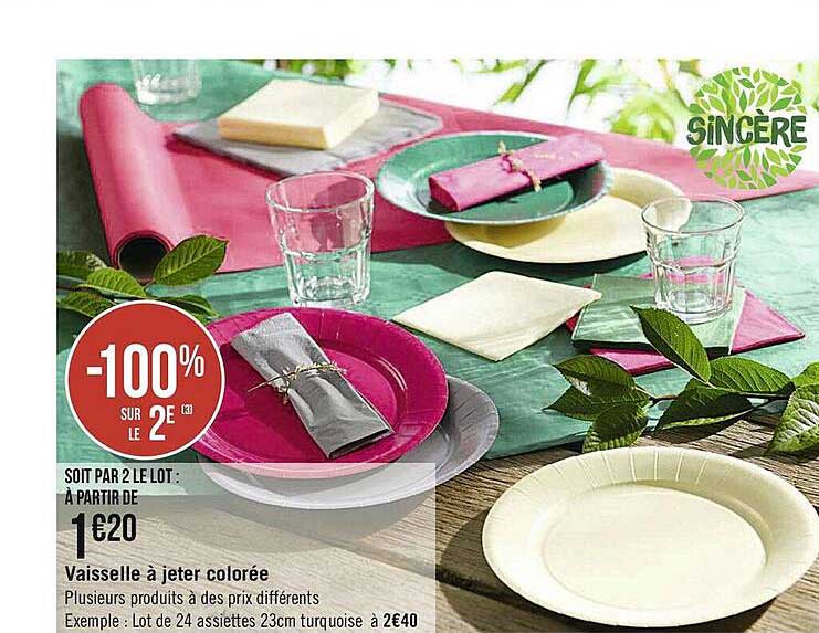 vaisselle à jeter colorée sincère