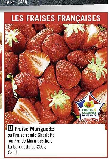 fraise gariguette ou fraise ronde charlotte ou fraise mara des bois