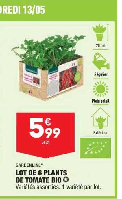 lot de 6 plants de tomate bio gardenline
