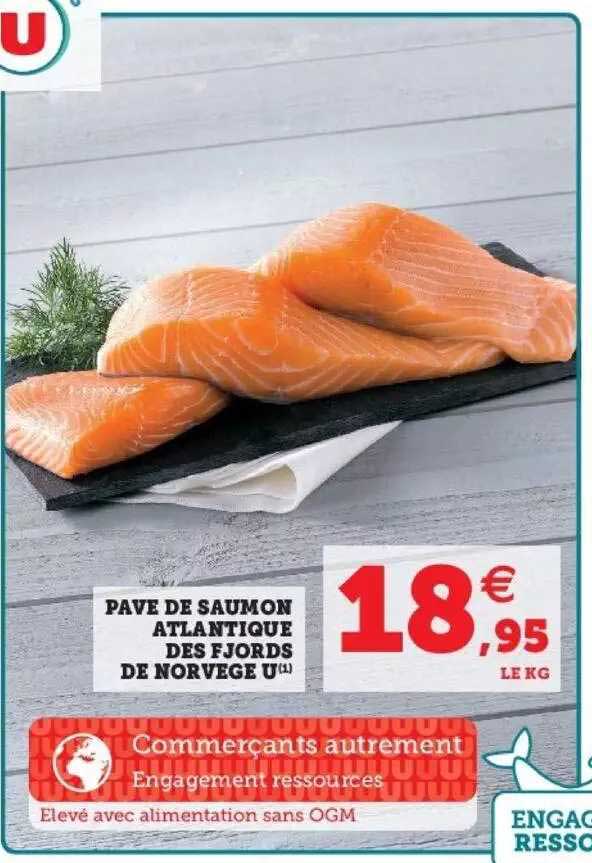 pavé de saumon atlantique des fjords de norvège u