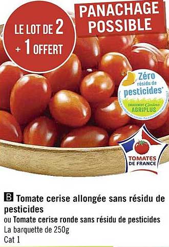 tomate cerise allongée sans résidu de pesticides ou tomate cerise ronde sans résidu de pesticides