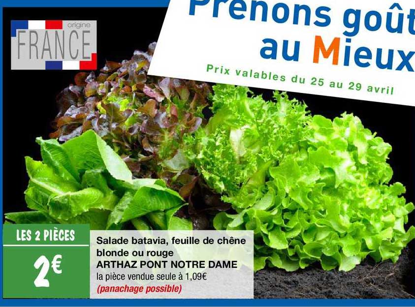 salade batavia, feuille de chêne blonde ou rouge arthaz pont notre dame