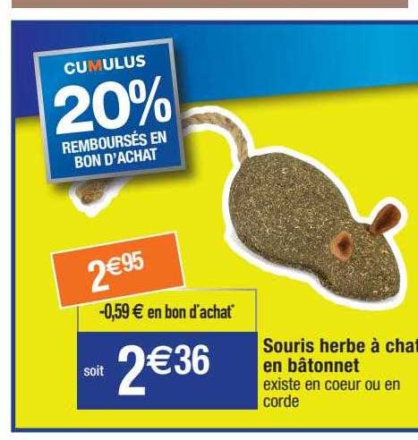 Souris Herbe à Chat En Bâtonnet