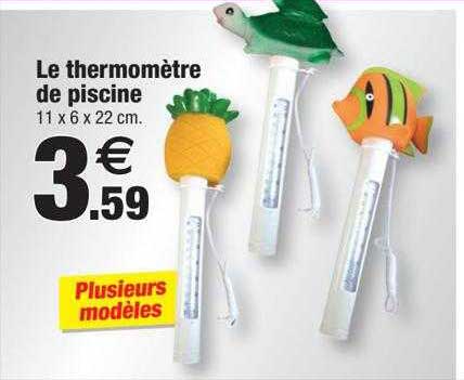 Le Thermomètre De Piscine