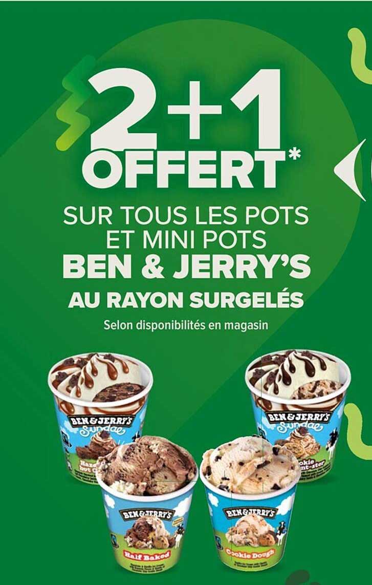 les pots et mini pots ben & jerry's