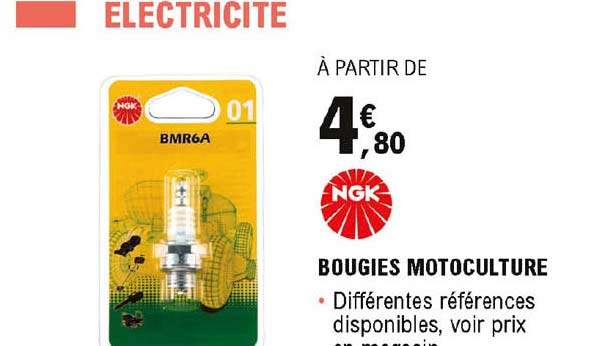 Bougies Motoculture Ngk
