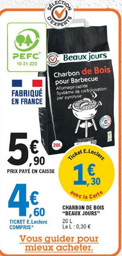 charbon de bois "beaux jours"