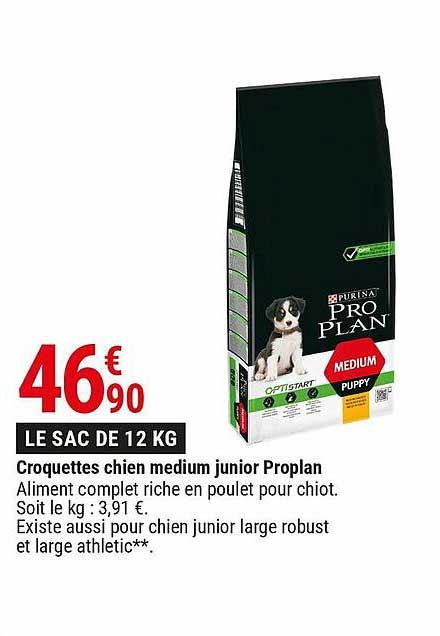 Croquettes Chien Medium Junior Proplan