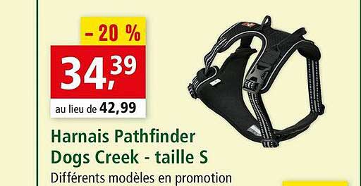 harnais pathfinder dogs creek - taille s
