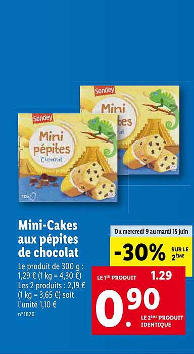 mini-cakes aux pépites de chocolat