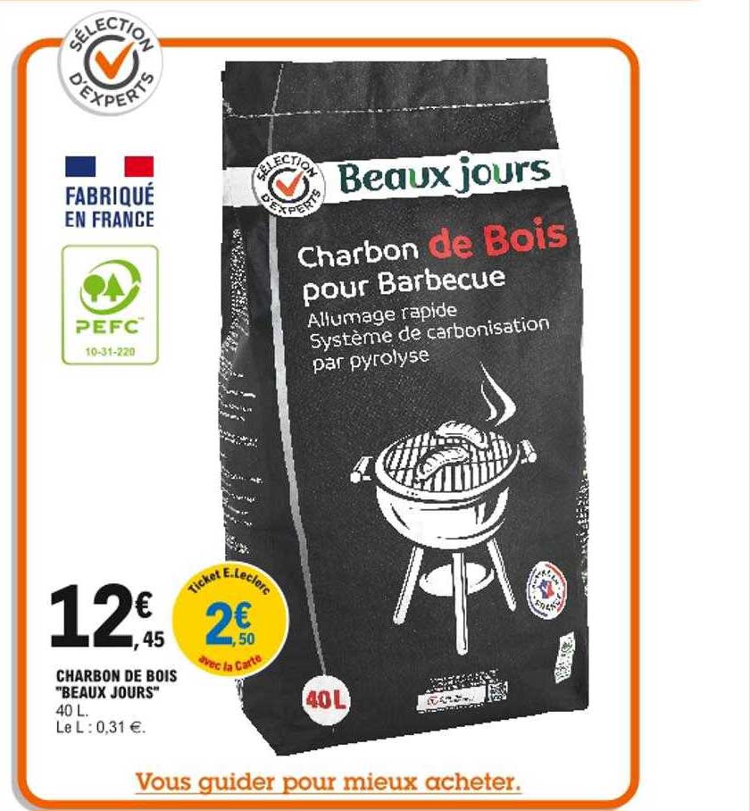 charbon de bois "beaux jours"