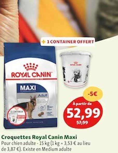 croquettes royal canin maxi