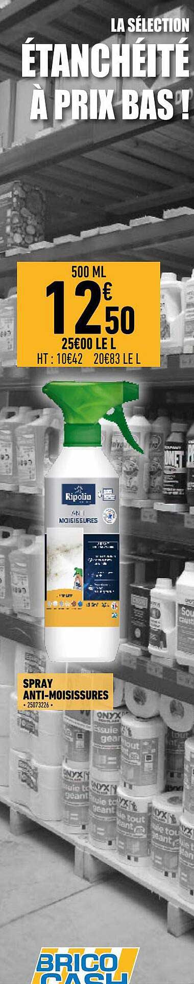 spray anti-moisissures